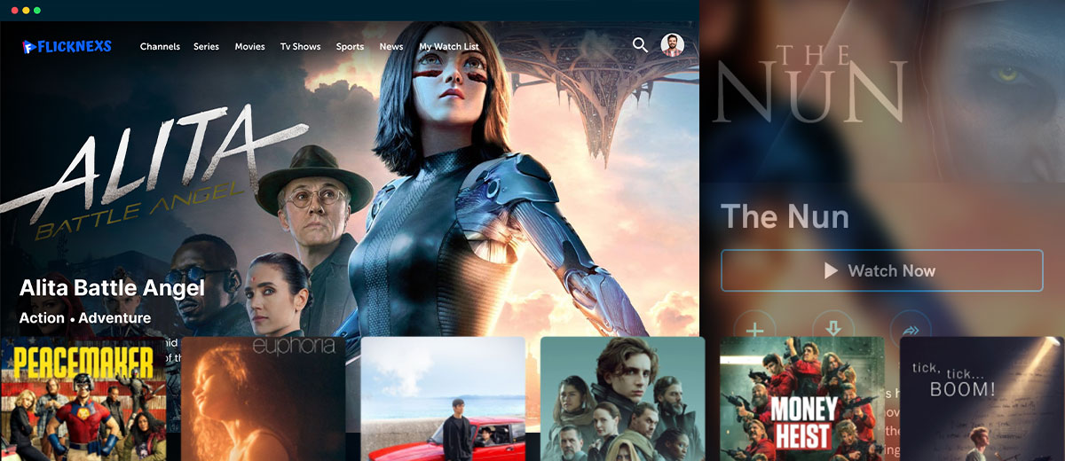 IPTV PROVIDER: An Overview of the Profitable Venture